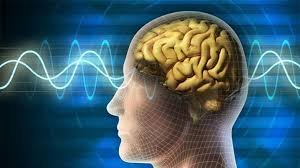 مێشك دوای مردن “به‌ئاگا دێته‌وه‌”؛ نهێنی دوا ساته‌كانی ژیان